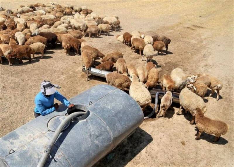 تنش آبی به مناطق کوهستانی جنوب کرمان رسید